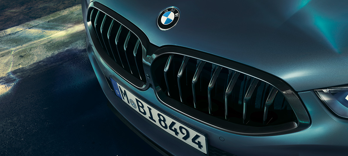 BMW M850i Coupé First Edition, BMW neerukujuline iluvõre BMW M850i Coupé First Editioni BMW neerukujulise iluvõre lähivaade